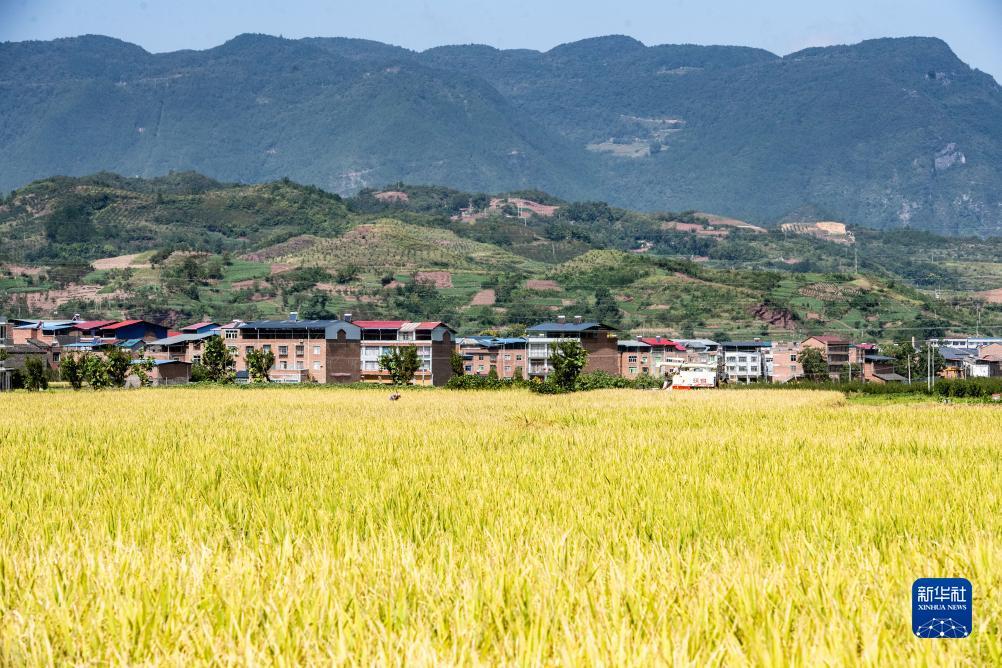 金沙国际唯一官网
